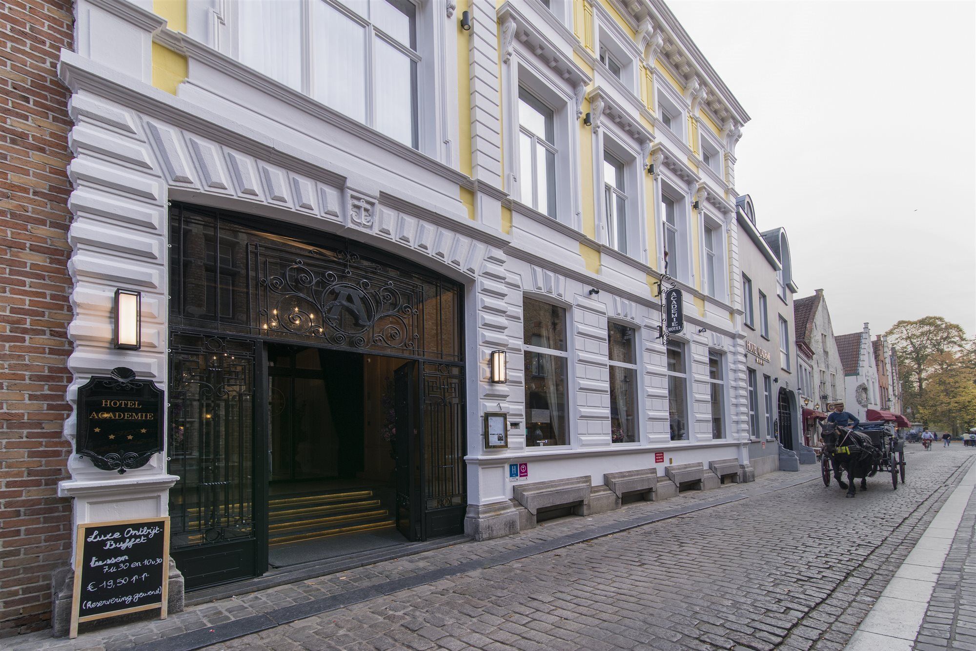 Dukes' Academie - By Dukes' Collection
